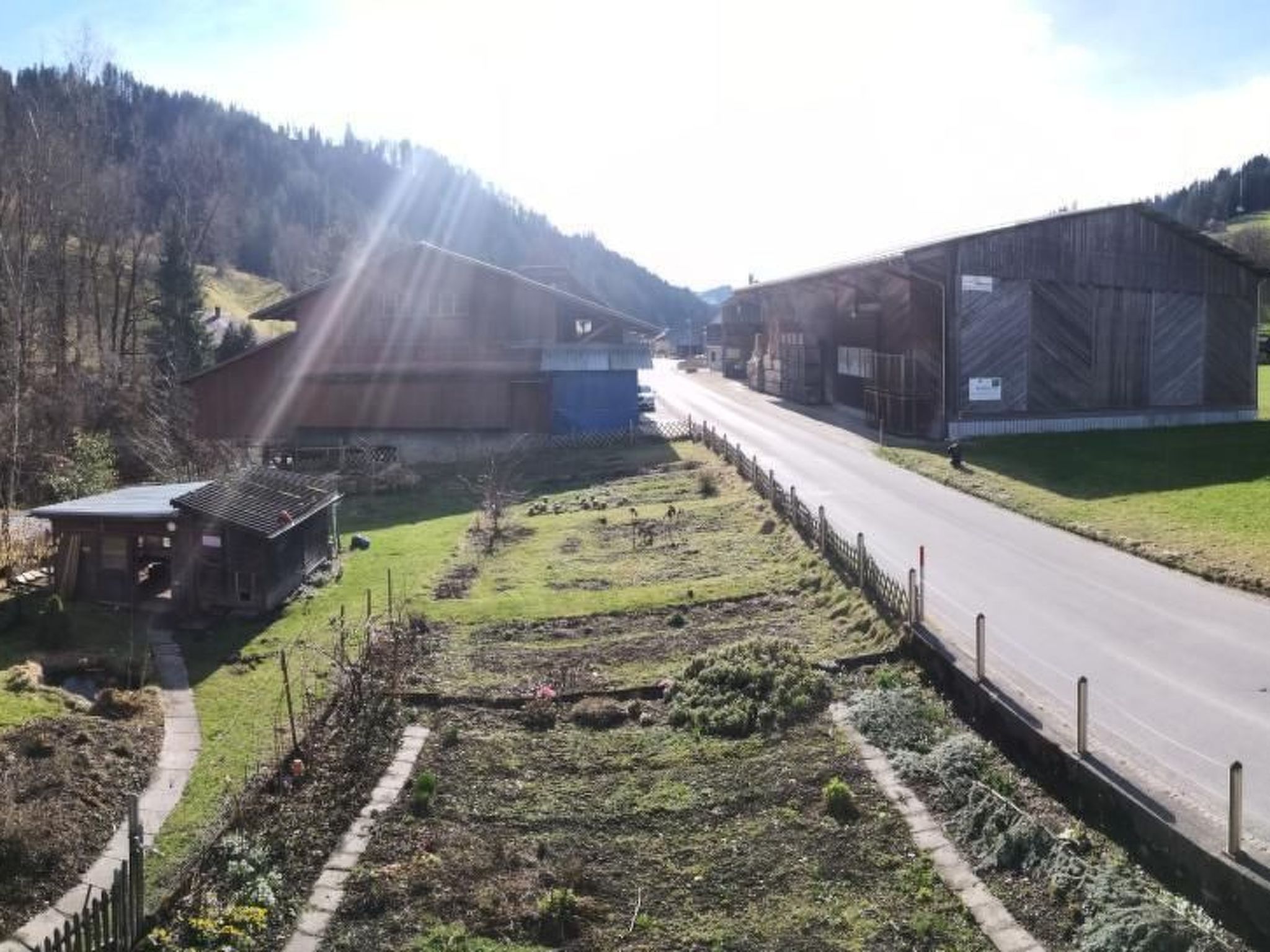 Karotte-Image-tags.info