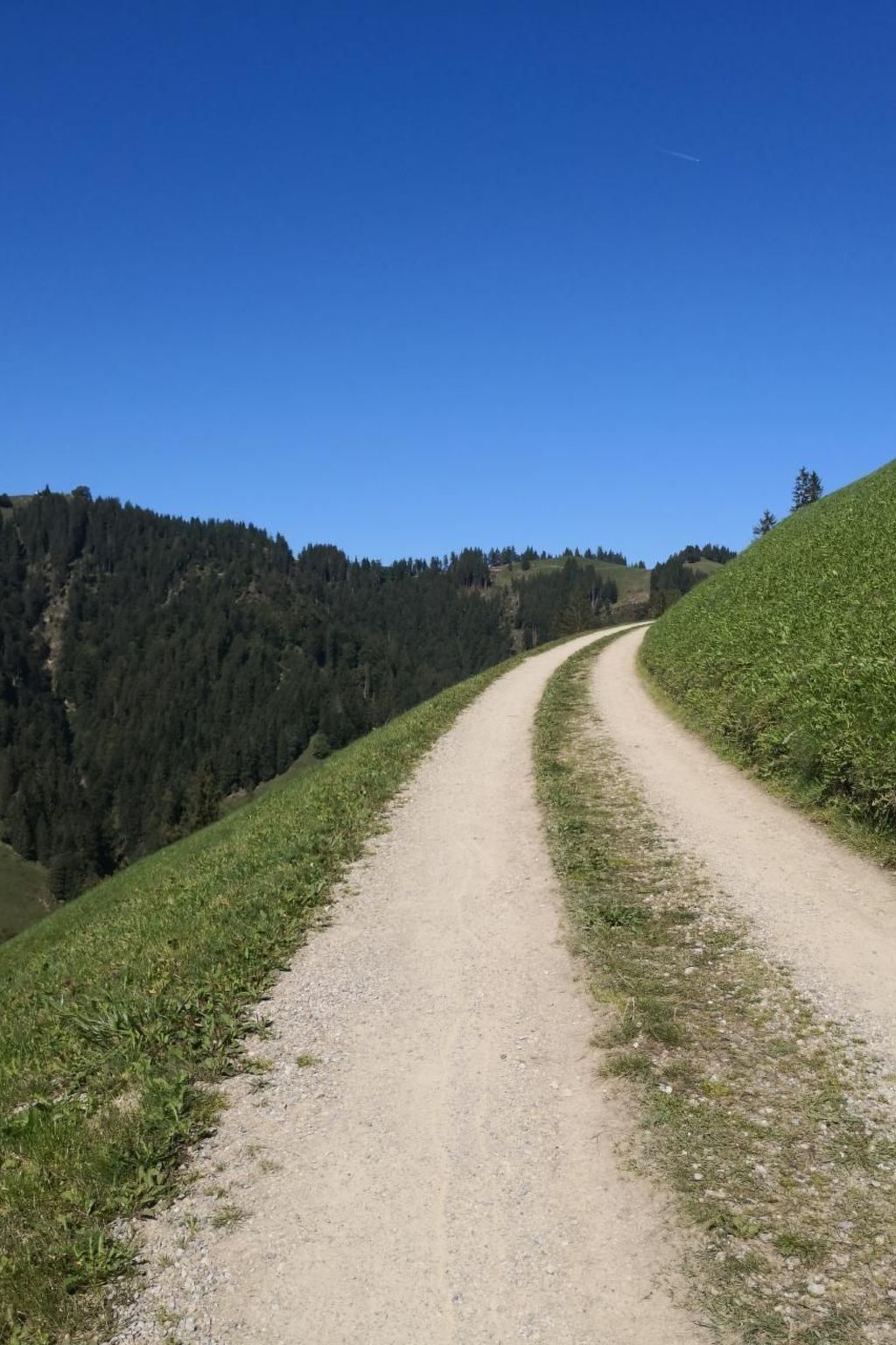 Karotte-Image-tags.info