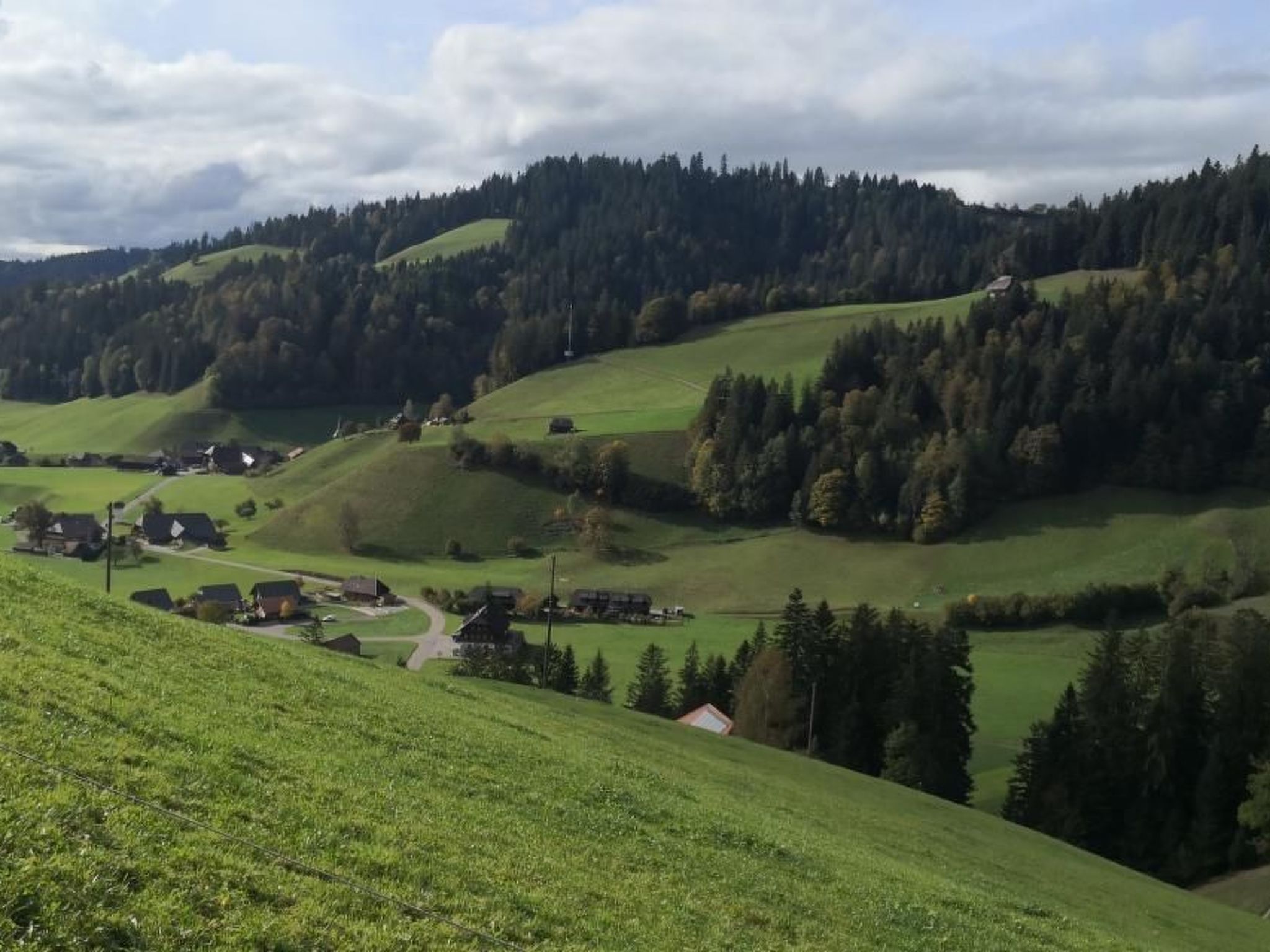 Karotte-Image-tags.info