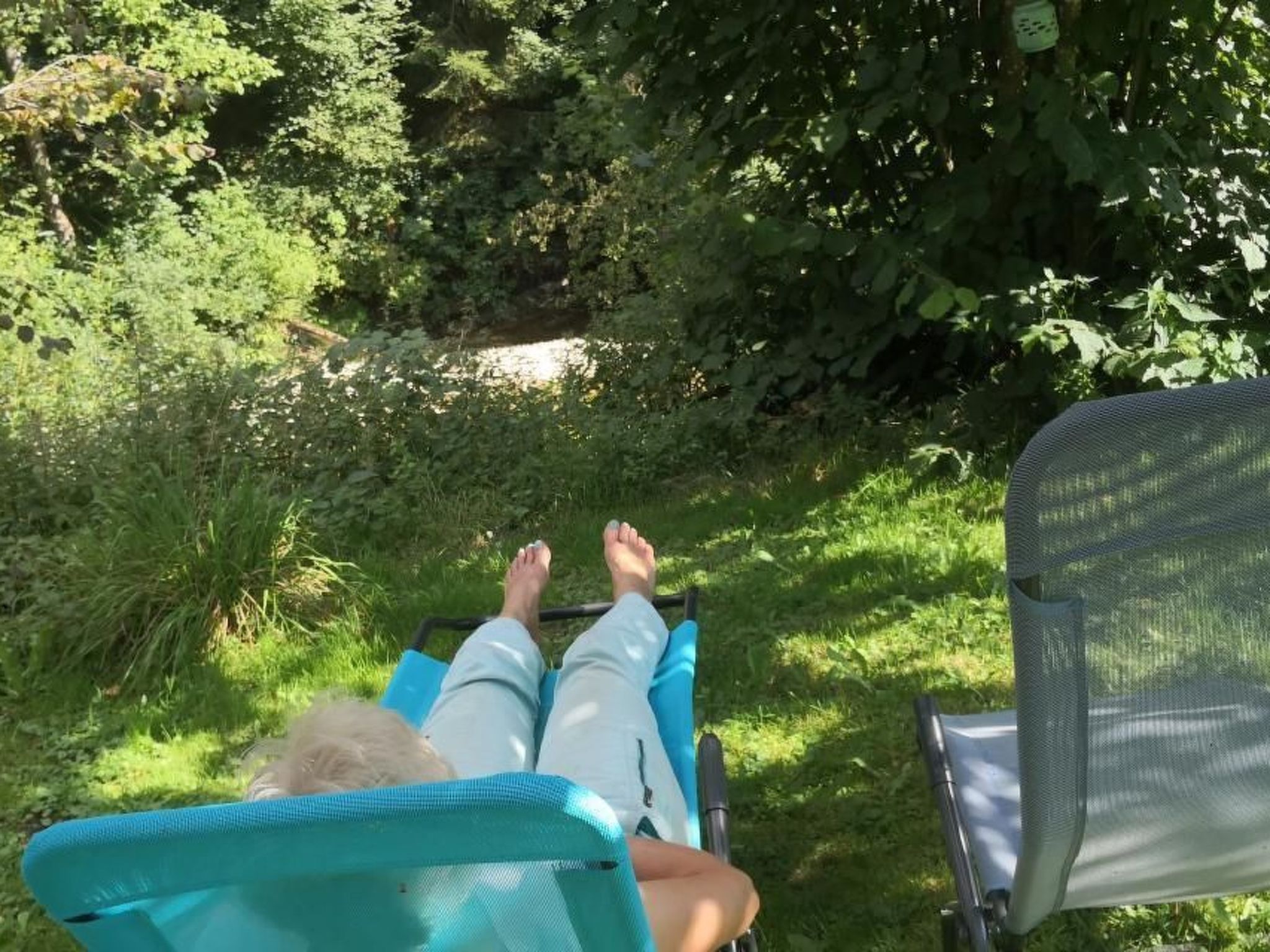 Karotte-Image-tags.info