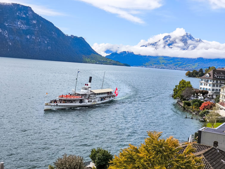 Holiday Rental Accommodation