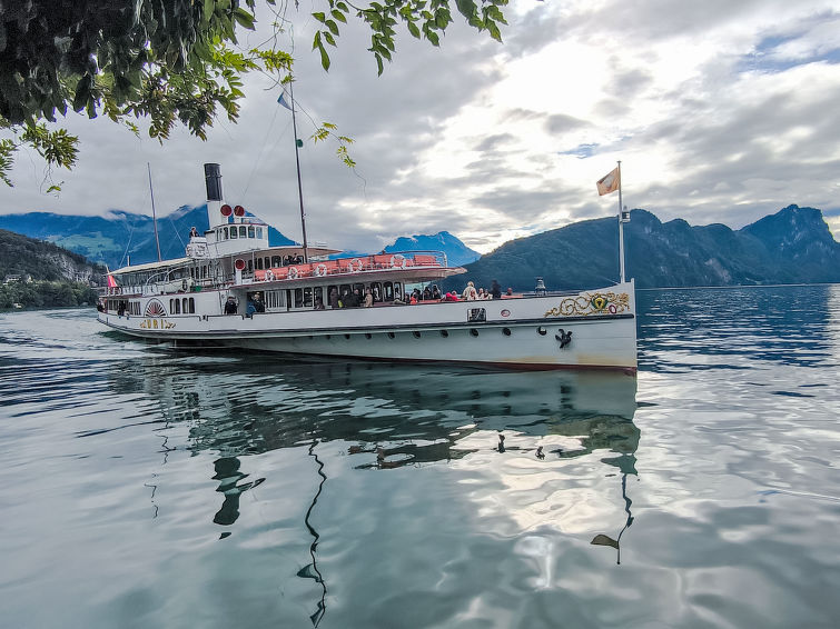 Holiday Rental Accommodation