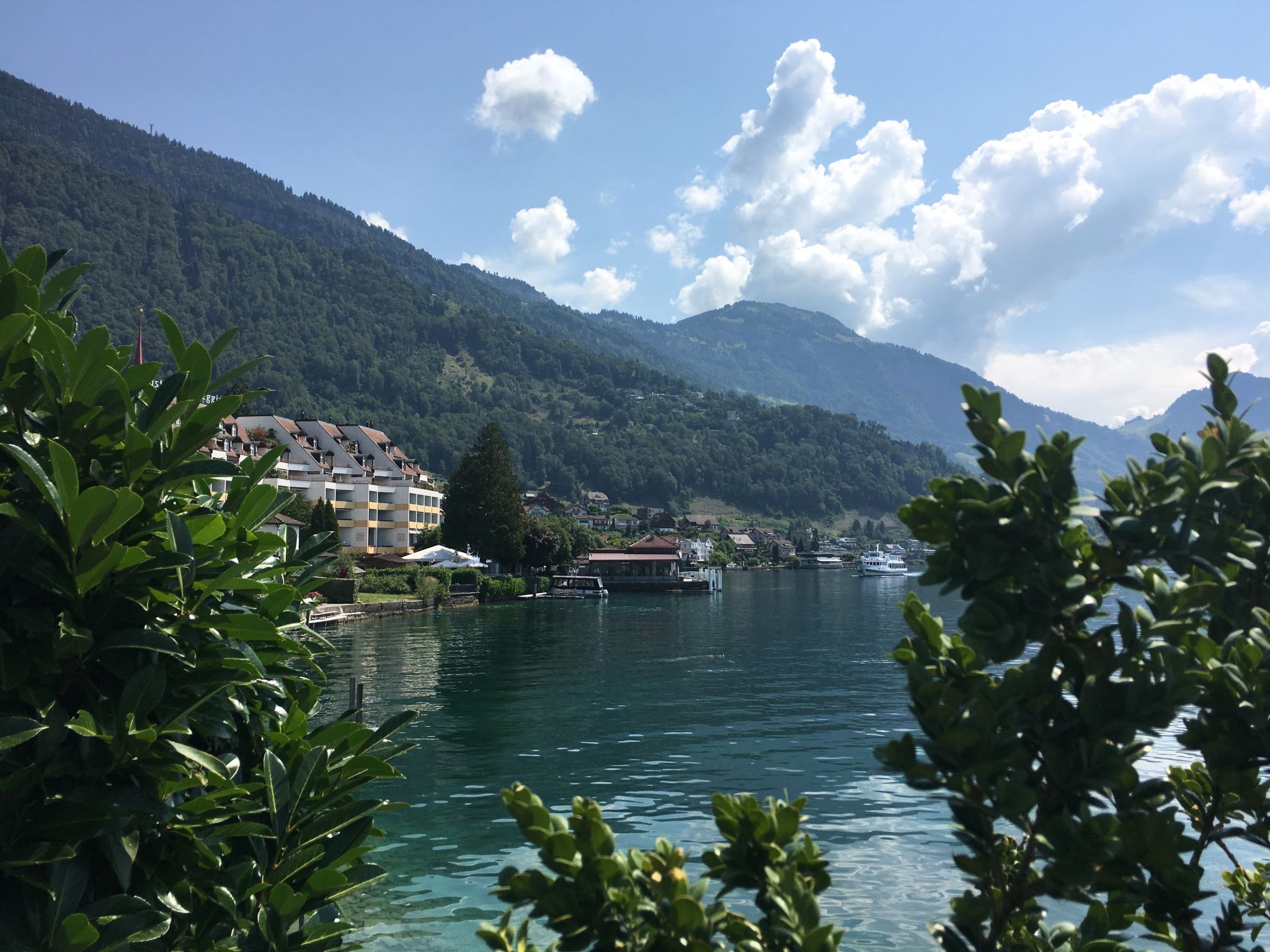 Holiday Rental Accommodation