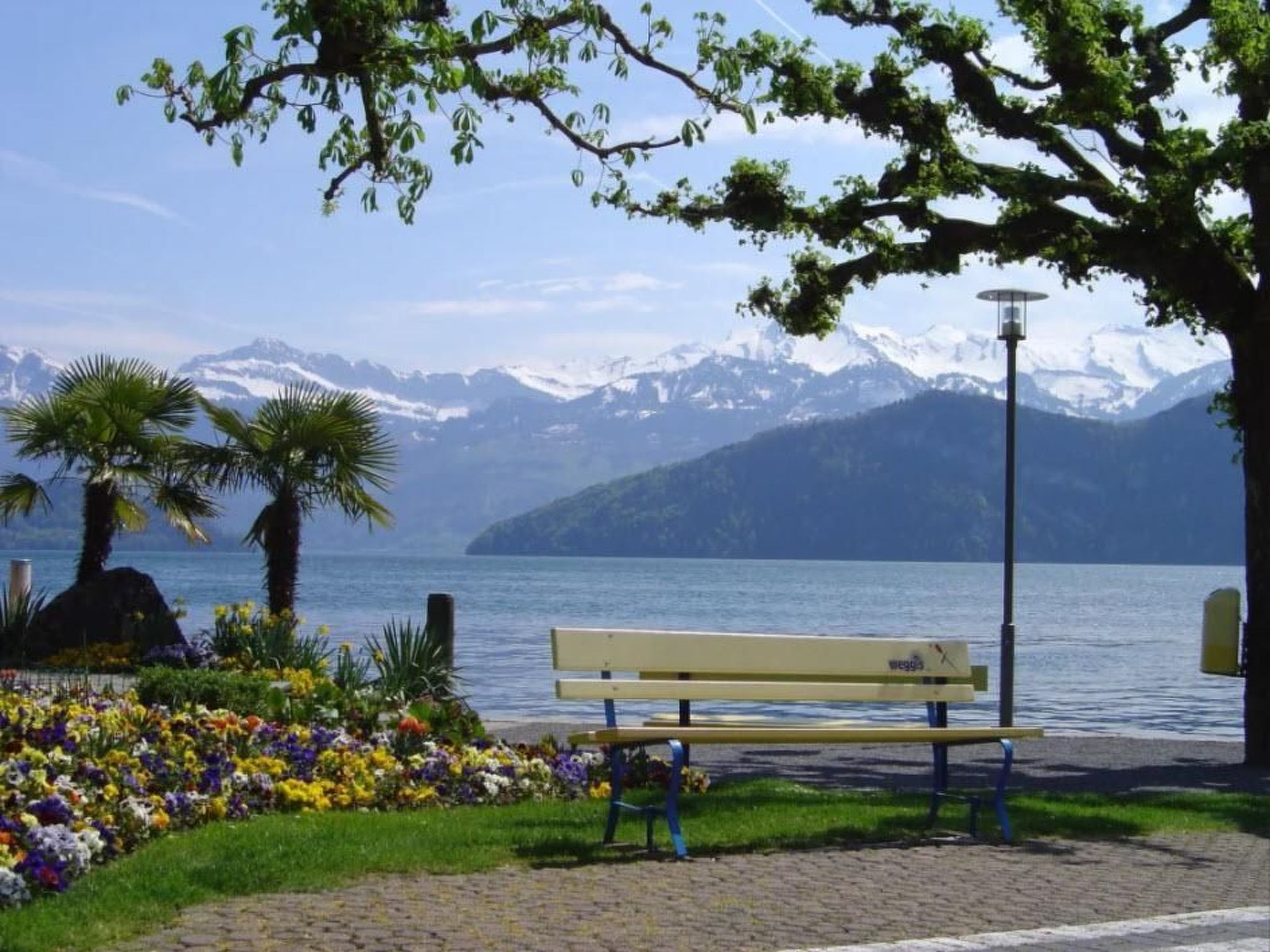 Studio 'Rubi' Weggis