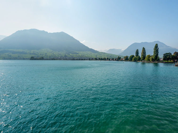 Seestern direkt am See