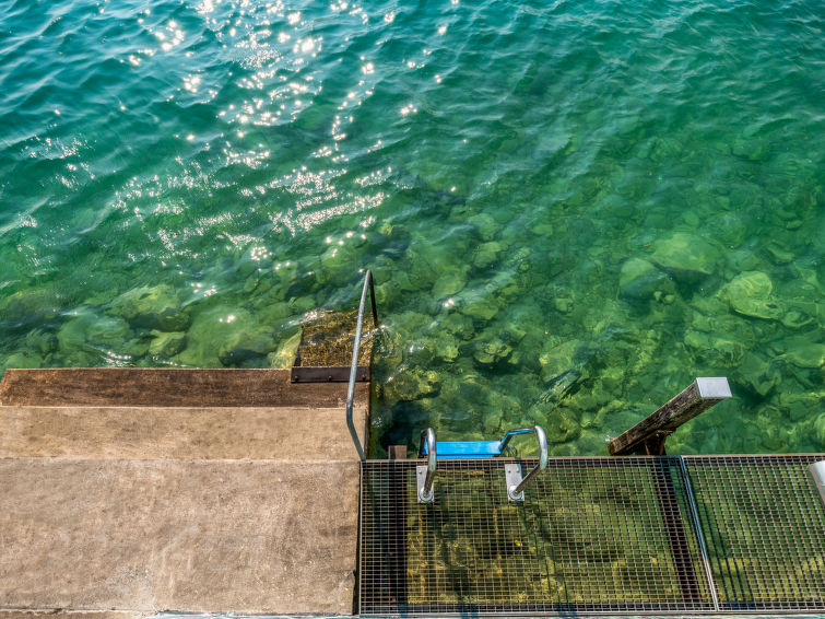 Seestern direkt am See