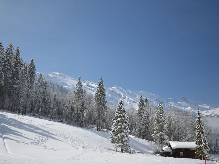 Photo of Chalet Heureka-Horbis