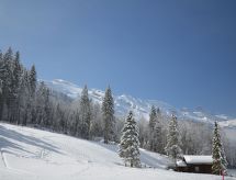 Apartment Chalet Heureka-Horbis