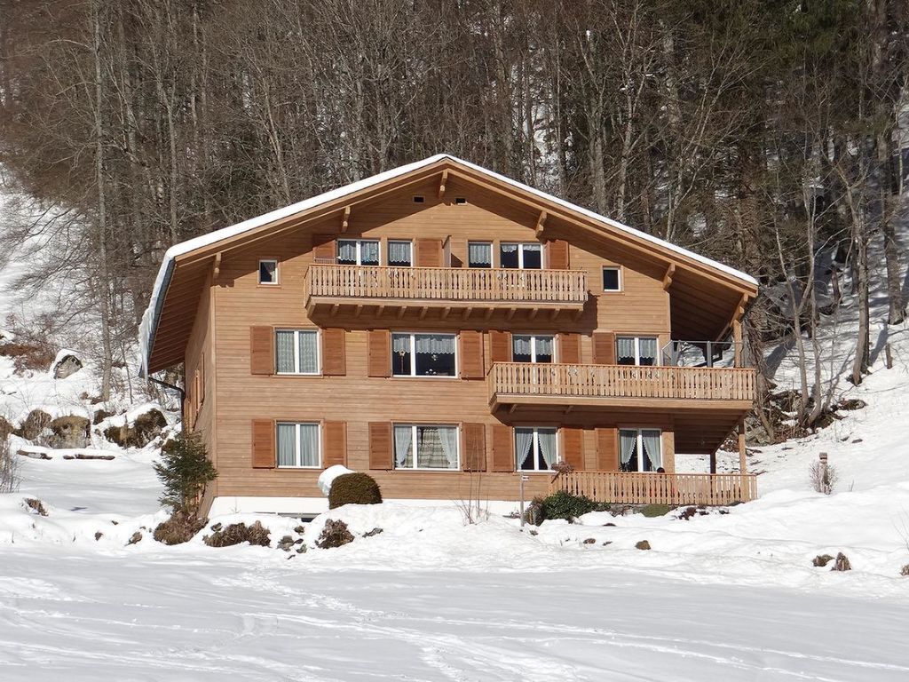 Appartement Berg Enzian in Zwitserland