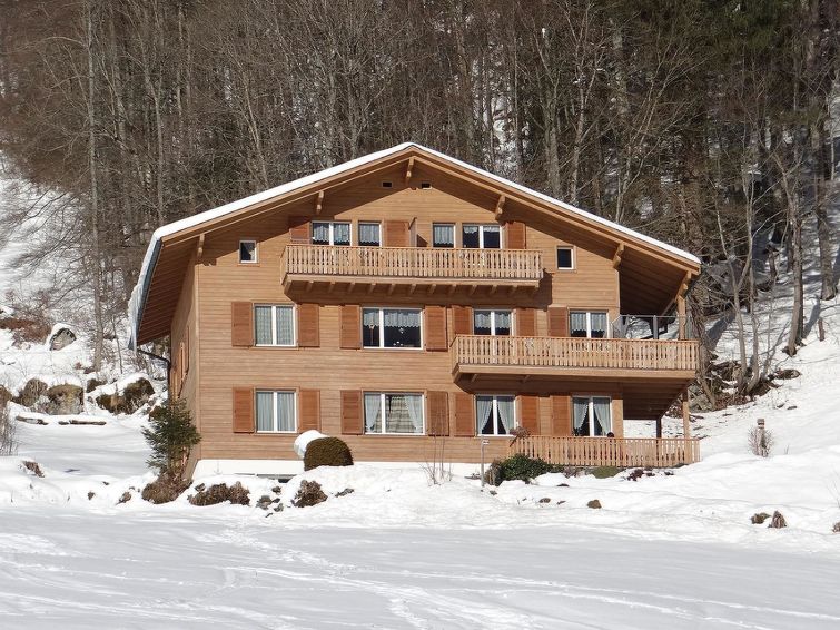 Berg Chalet in Engelberg