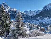 Knus chaletappartement Aurora met uitzicht op Engelberg - thumbnail 5