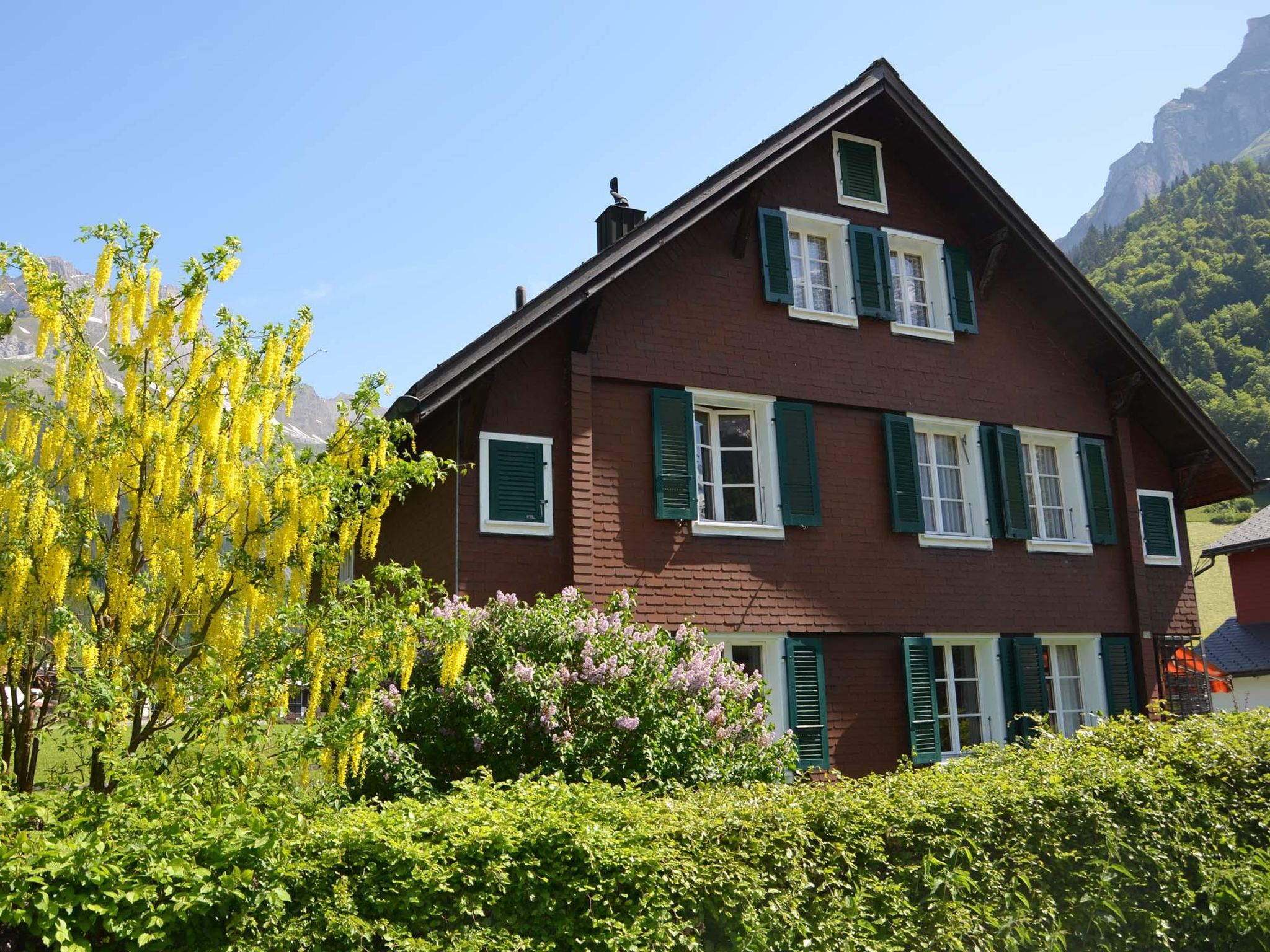 Photo of Hälmehois Appartement/Fewo 7-Bettwohnung