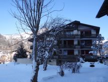 Modern appartement vlakbij de Titlis-lift in Engelberg - thumbnail 3
