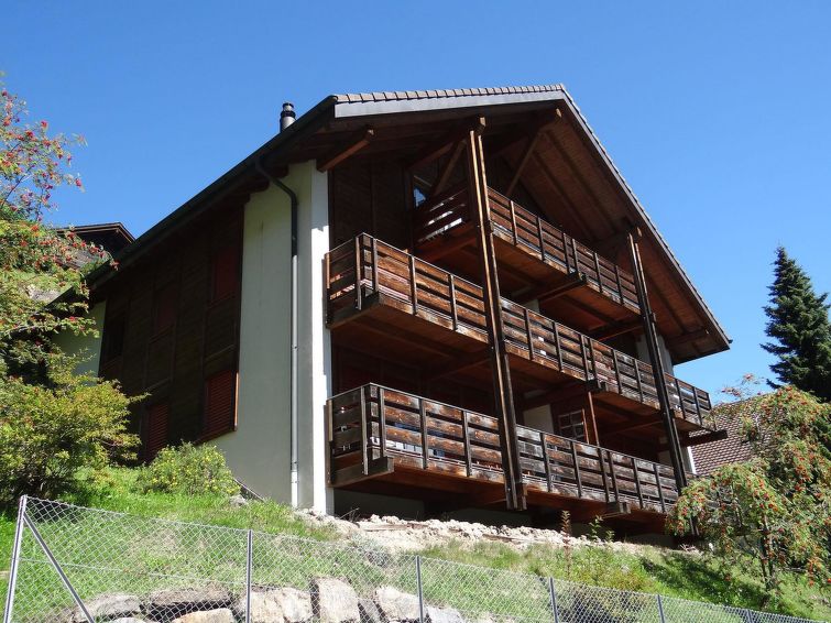 Fellenrüti 82 Villa in Engelberg