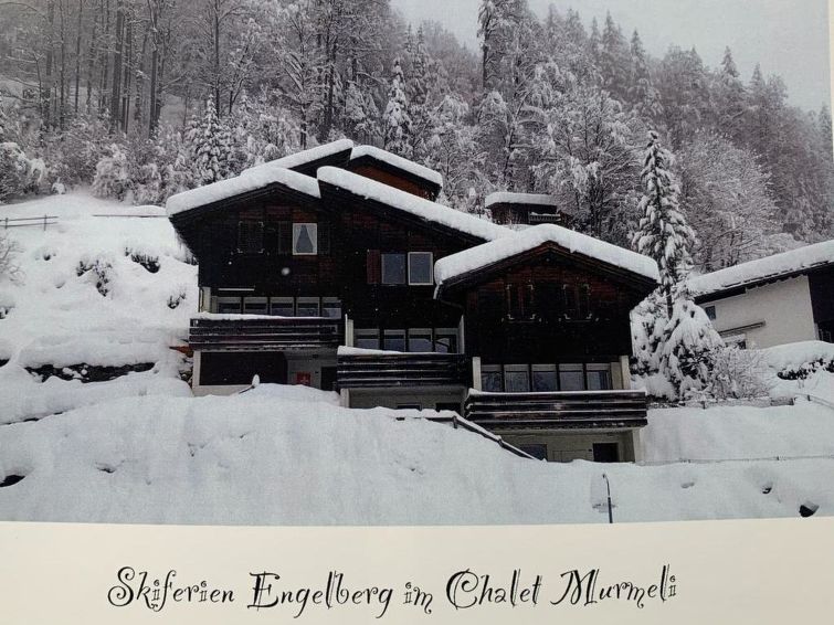 Photo of Chalet Murmeli