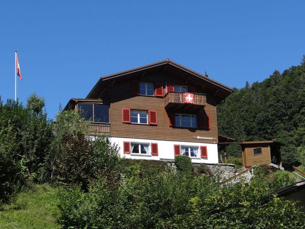 Appartement Sattelboden 4 in Zwitserland