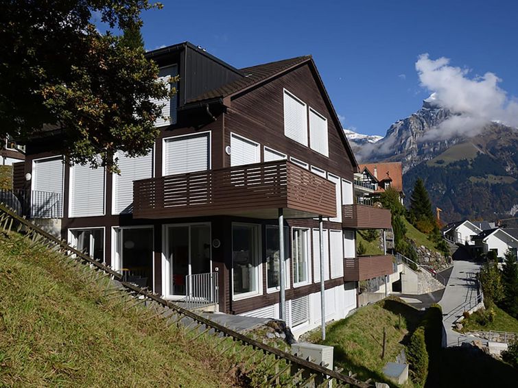 Engelberg accommodation chalets for rent in Engelberg apartments to rent in Engelberg holiday homes to rent in Engelberg