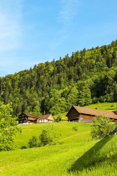 Biohof Langberg - Morschach
