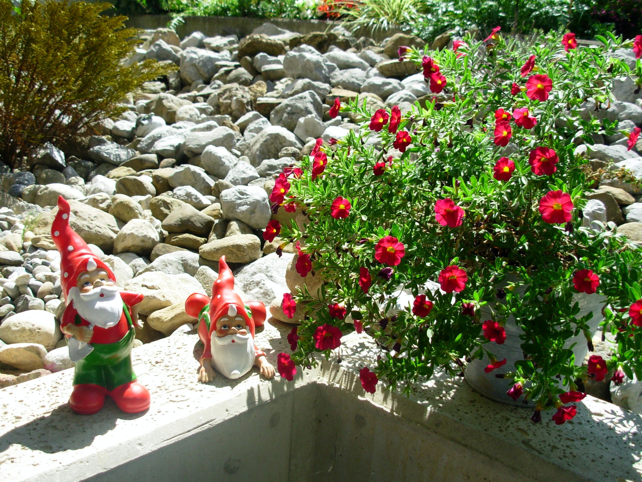 Studio Mythen - Schwyz-Rickenbach, (Rickenbach SZ). - Image-tags.info