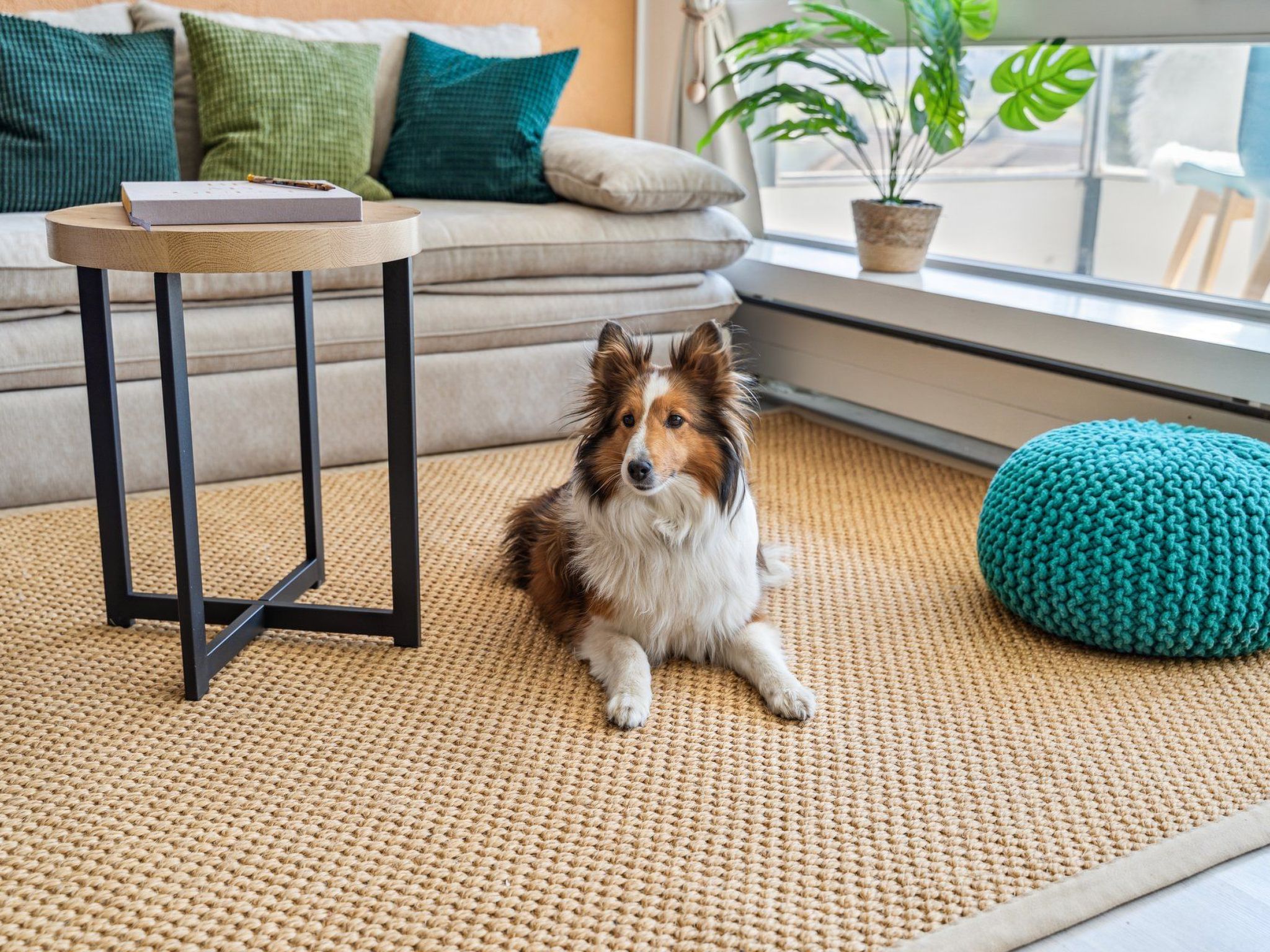 4 Seasons Apartment-Image-tags.info