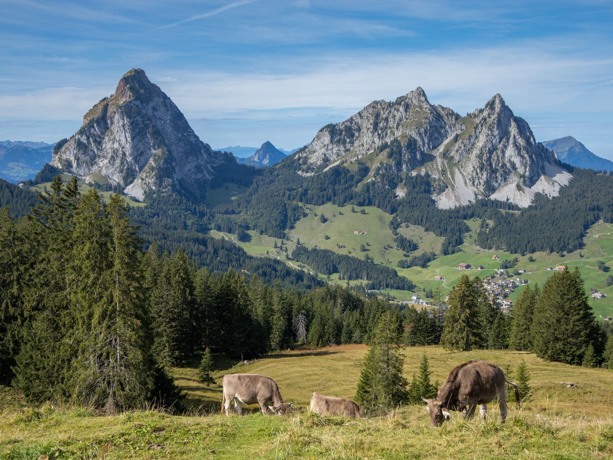 4 Seasons Apartment-Image-tags.info