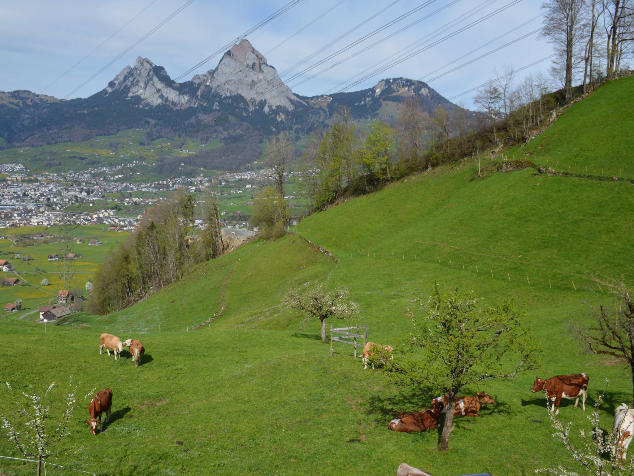 Stockli - Brunnen, (Brunnen). - Image-tags.info