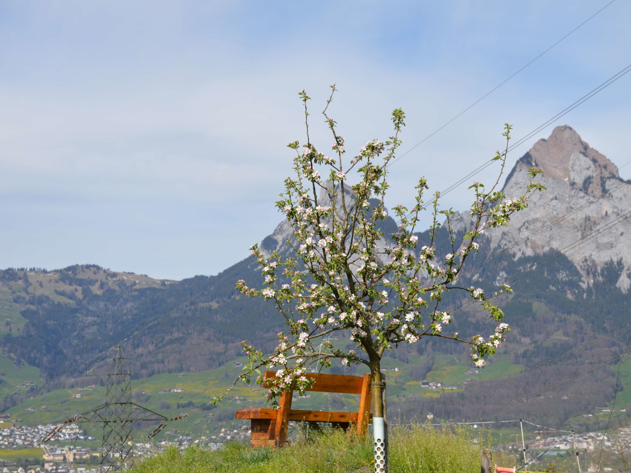 Stockli - Brunnen, (Brunnen). - Image-tags.info