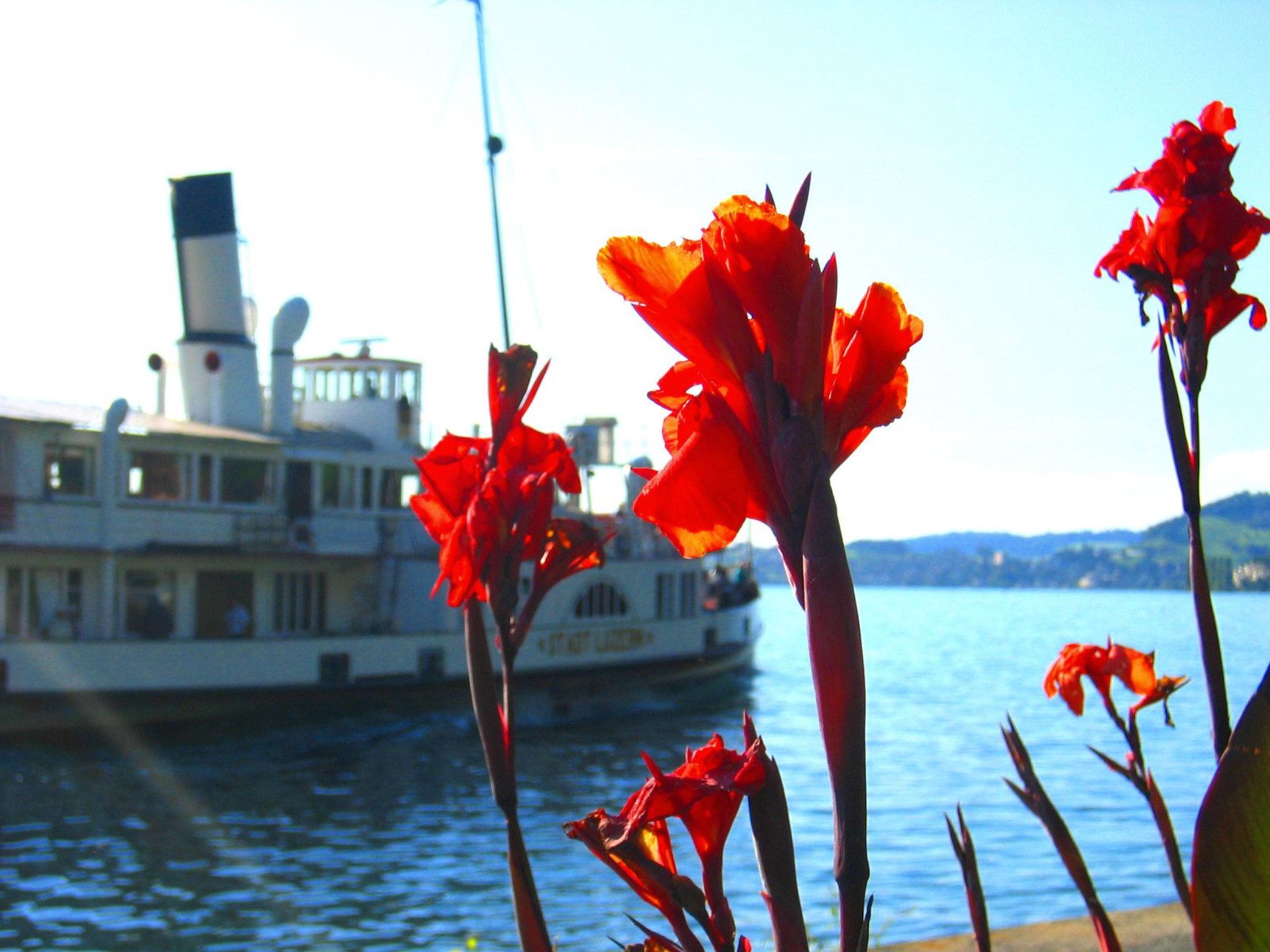 Chalet Bärgblick-Dehors
