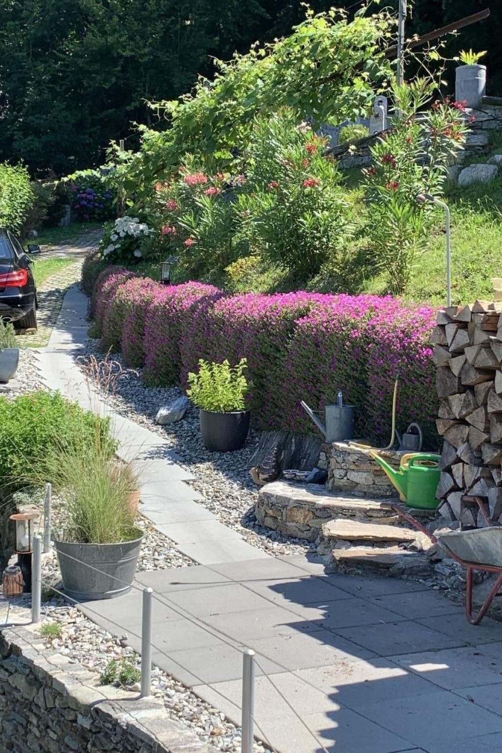 Ferienhaus in Bellinzona (Schweiz) und 1 Hund erlaubt