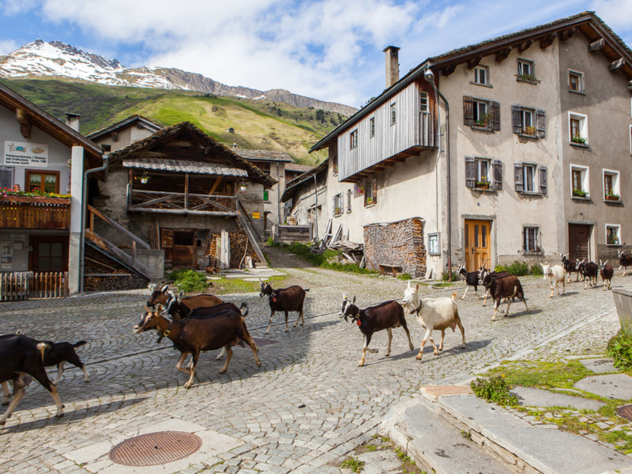 Haus Aebli, (Hinterrhein).
