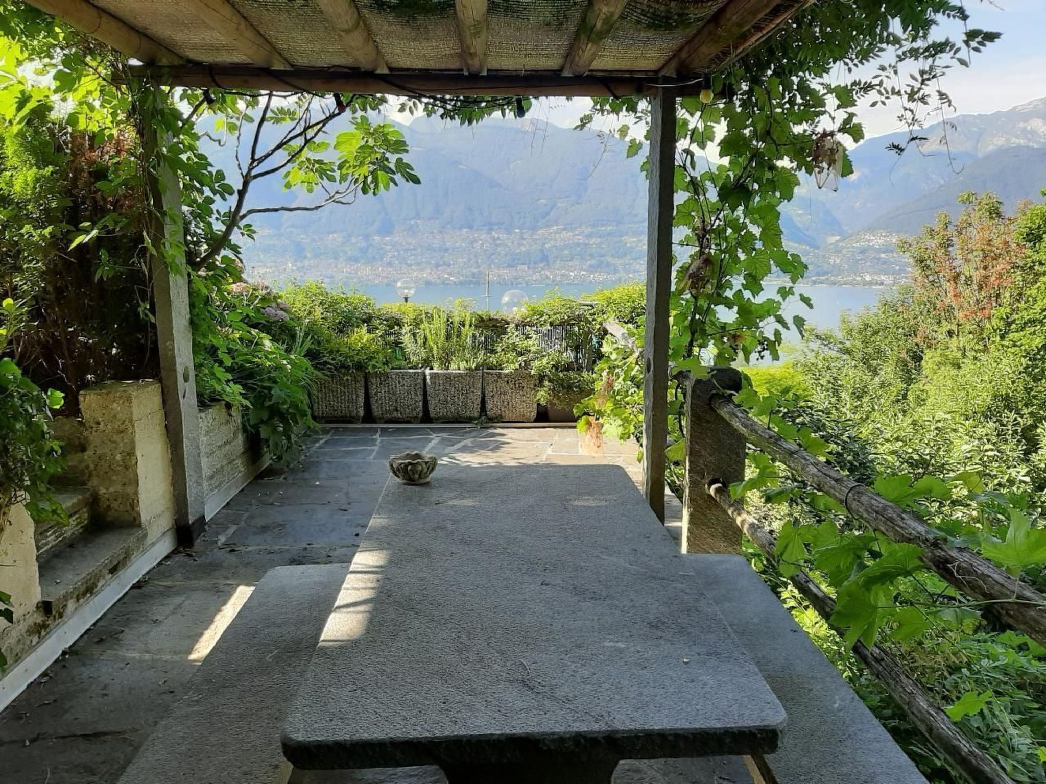 Virabella 8-Image-tags.info