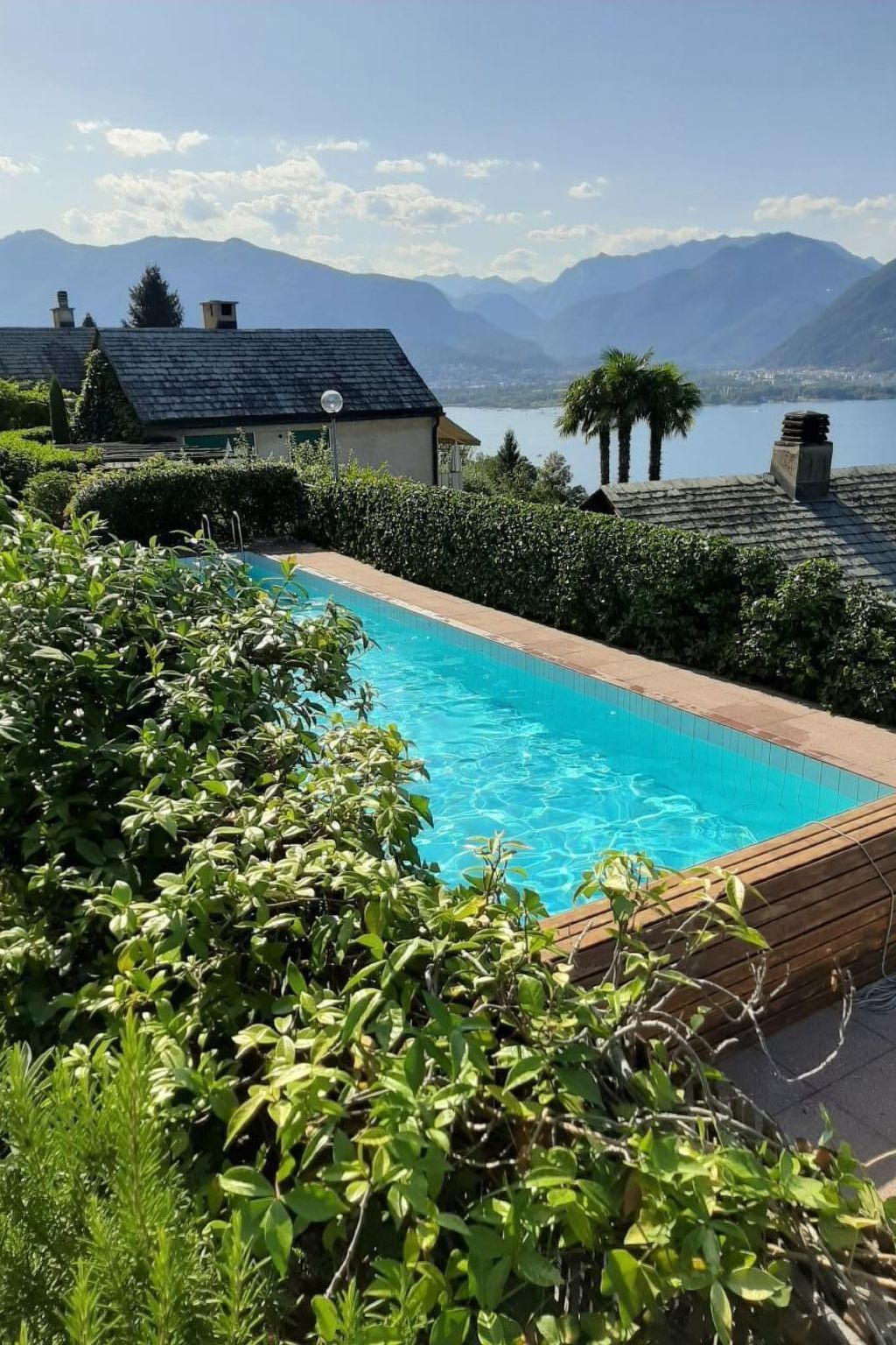 Virabella 8-Image-tags.info