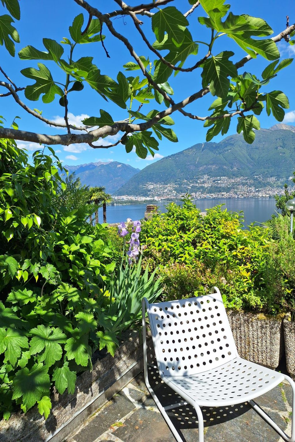 Virabella 8-Image-tags.info