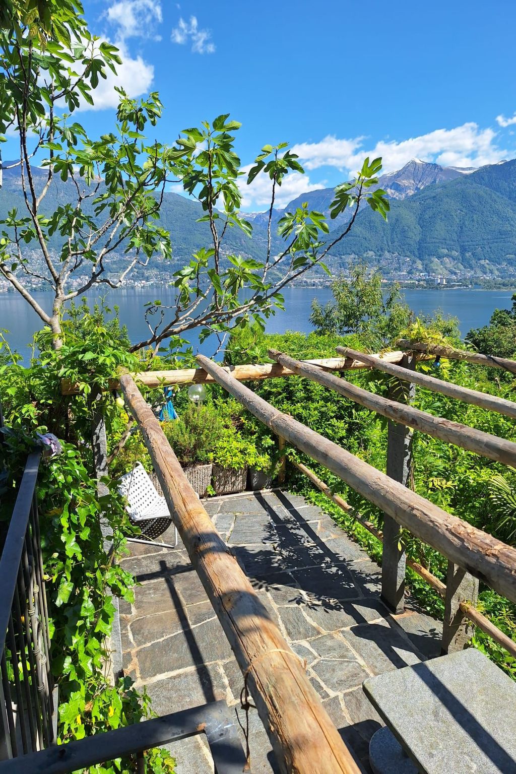 Virabella 8-Image-tags.info