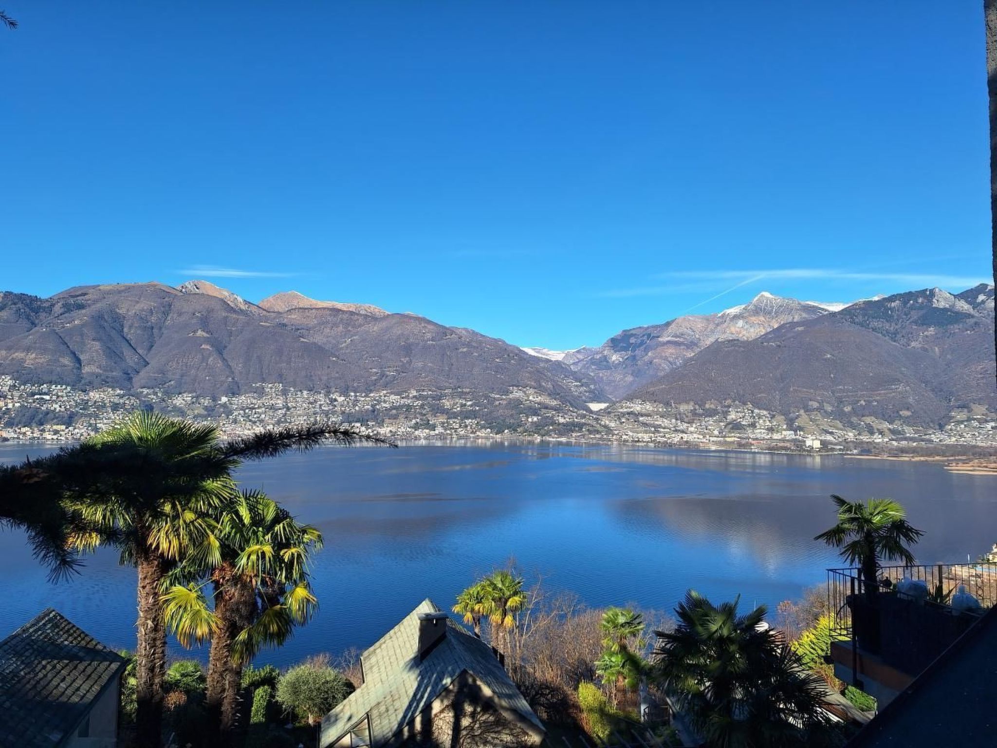 Virabella 8-Image-tags.info