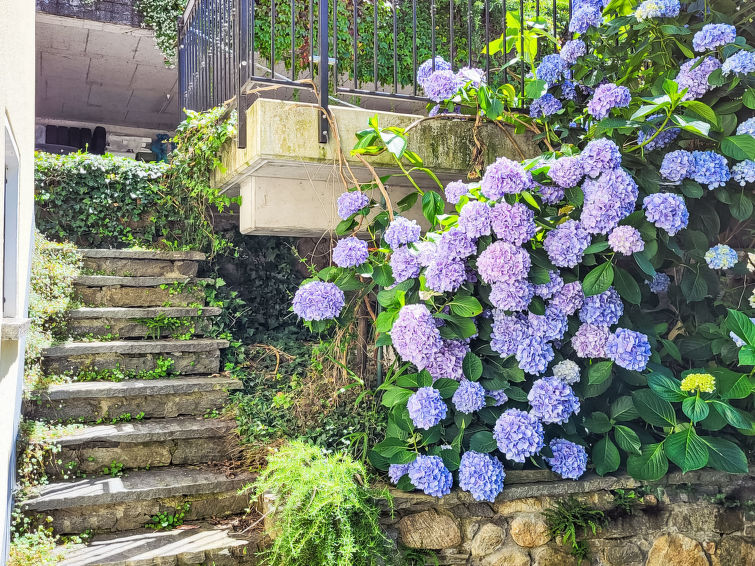 Photo of Ronchitt - Gartenwohnung