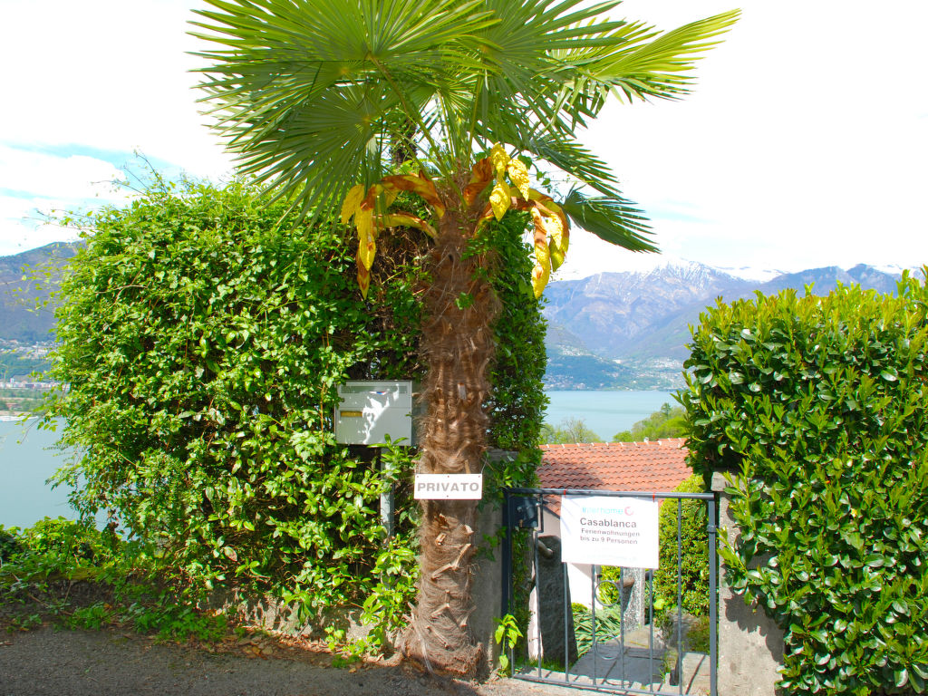 Bild 28