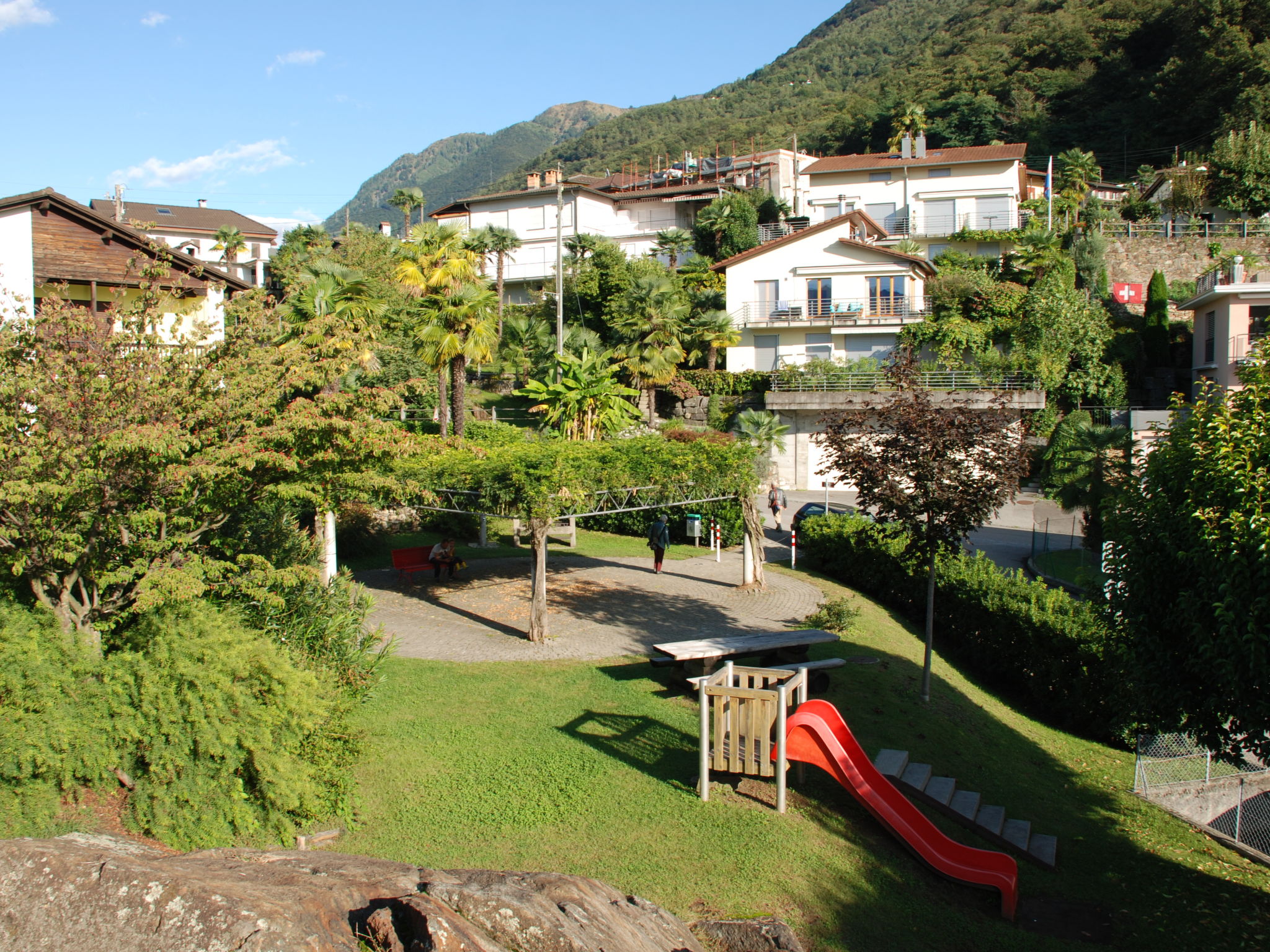 Siesta - Area