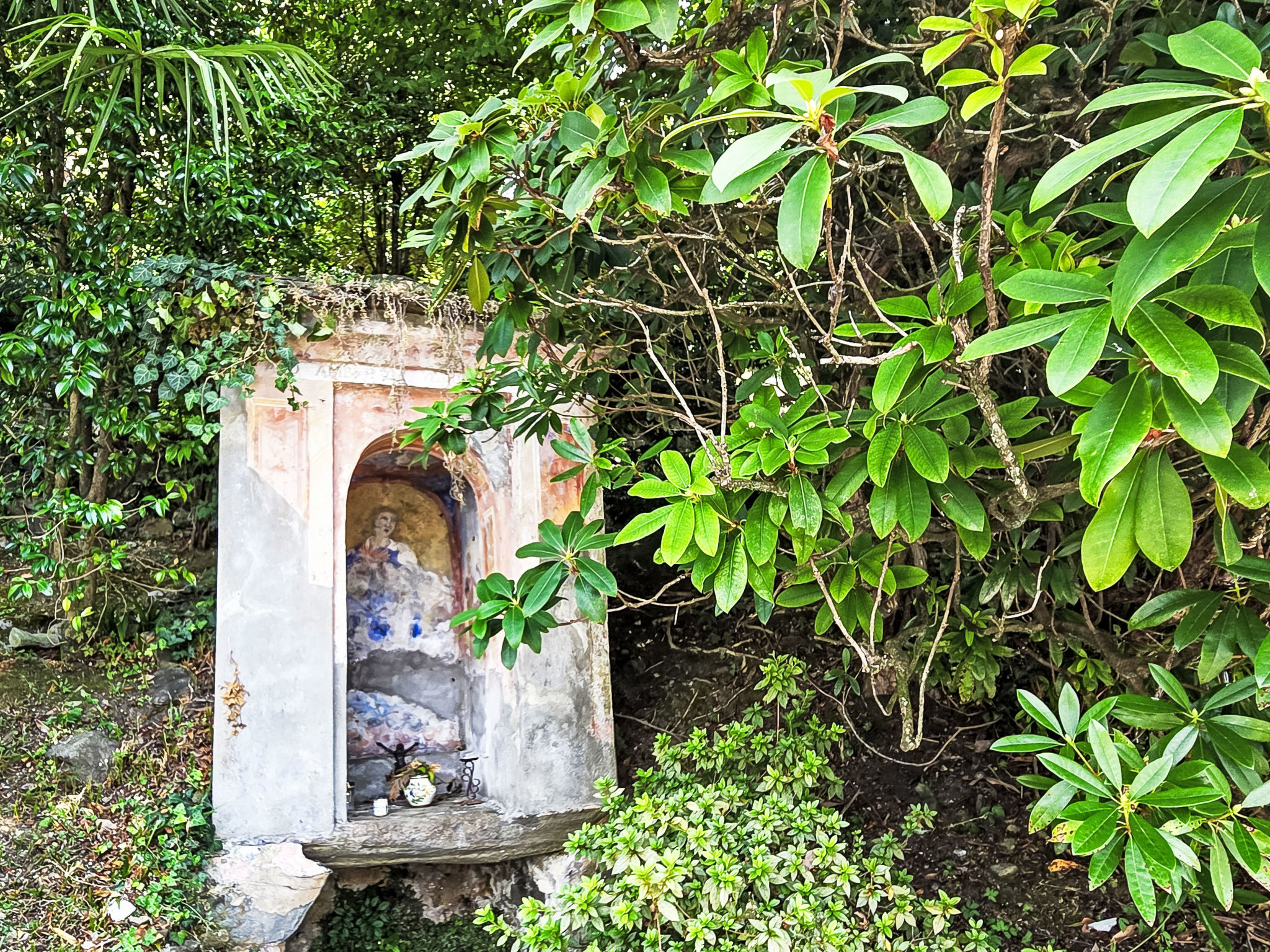 Photo of Rustico Casa Weber