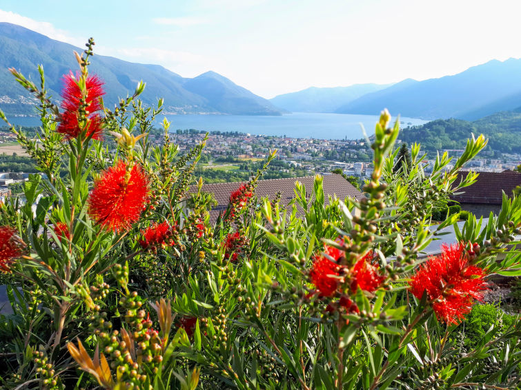 Photo of Vista Panorama