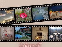 Romantisch appartement Liebesnest met zwembad en uitzicht op het meer van Locarno - thumbnail 2