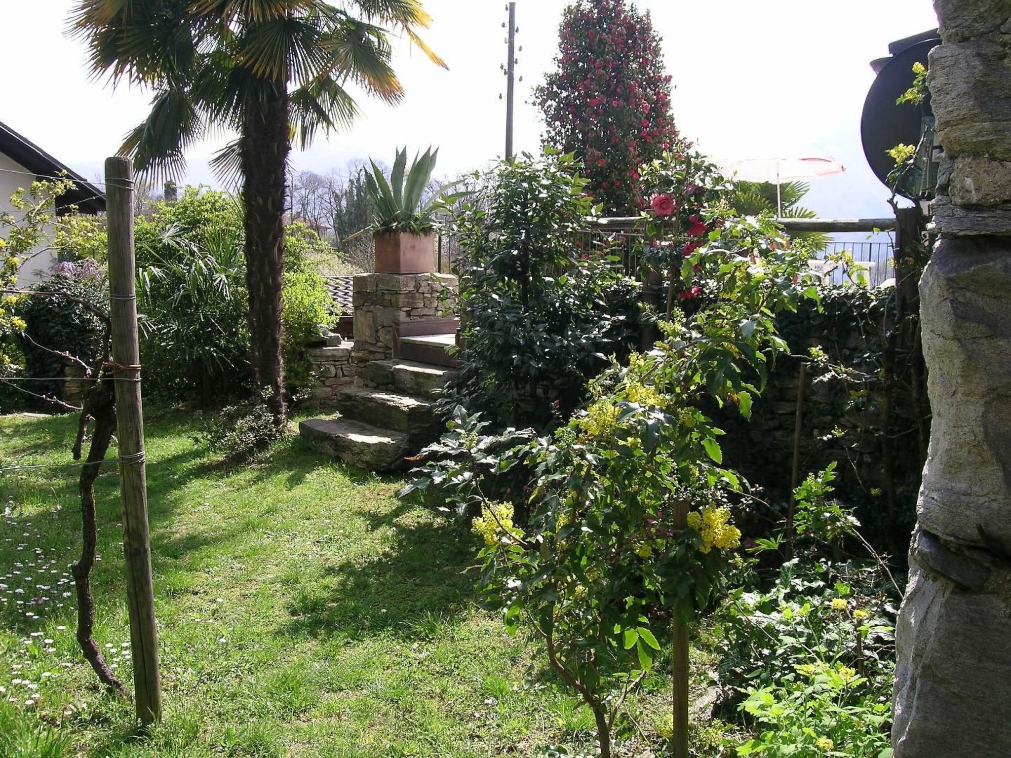 Photo of Rustico Al Torchio