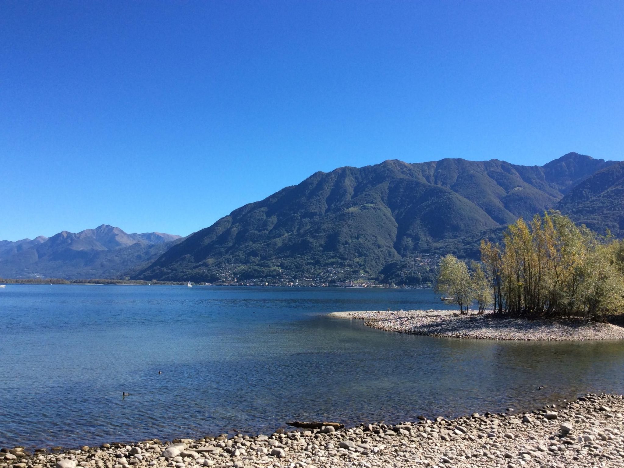 Photo of Del Parco 17