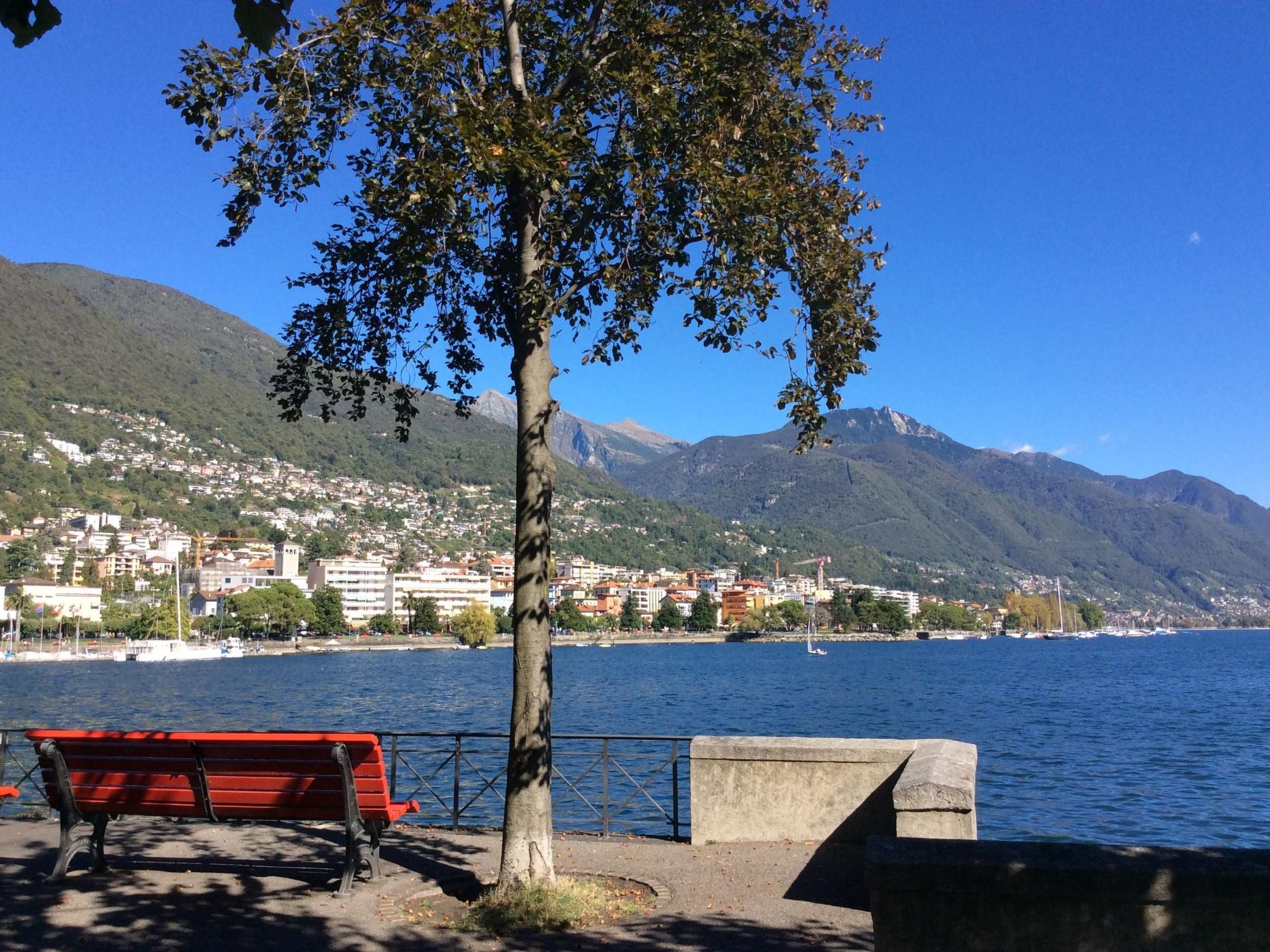 Photo of Del Parco 17