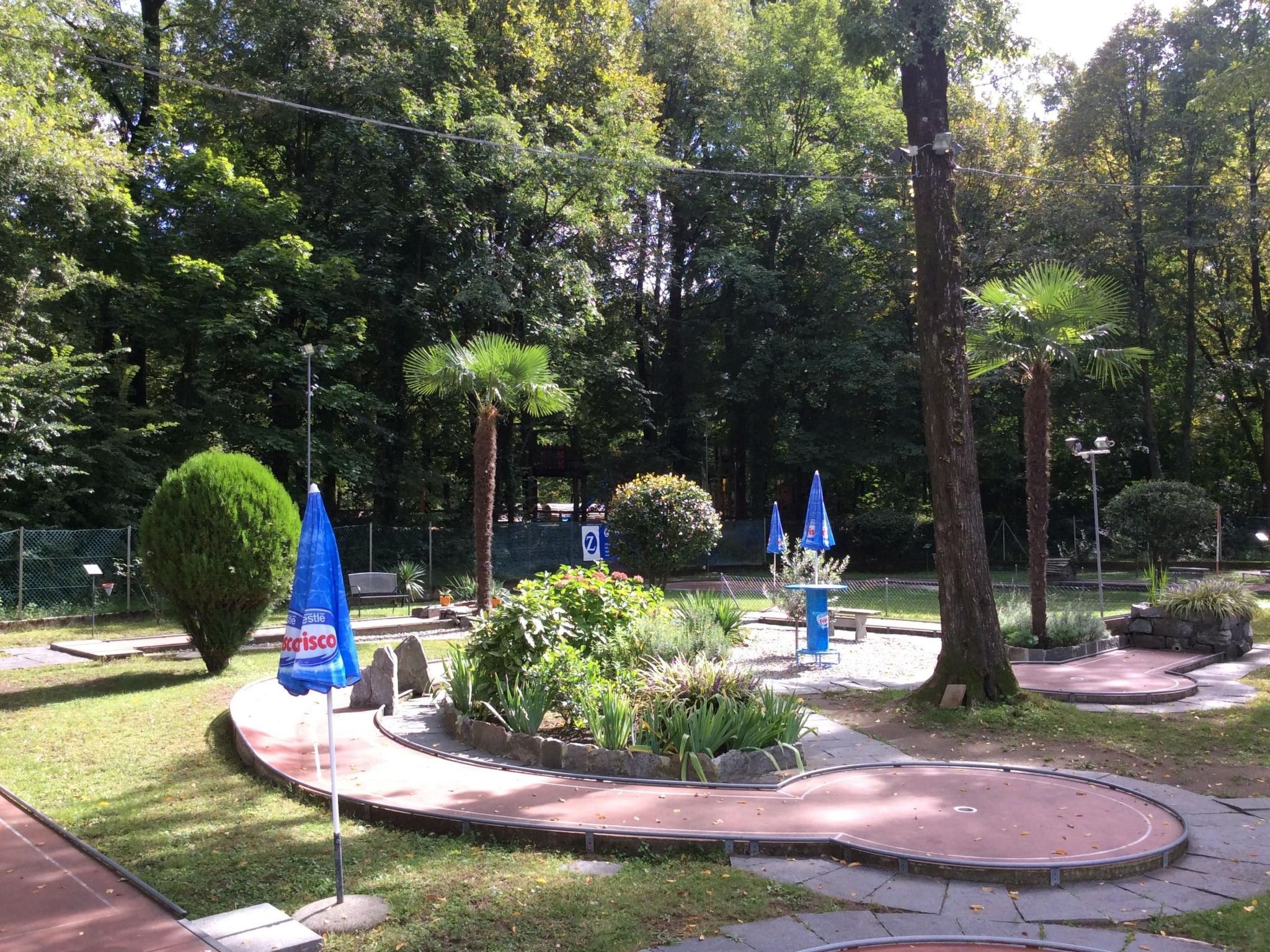 Photo of Sogno Verde