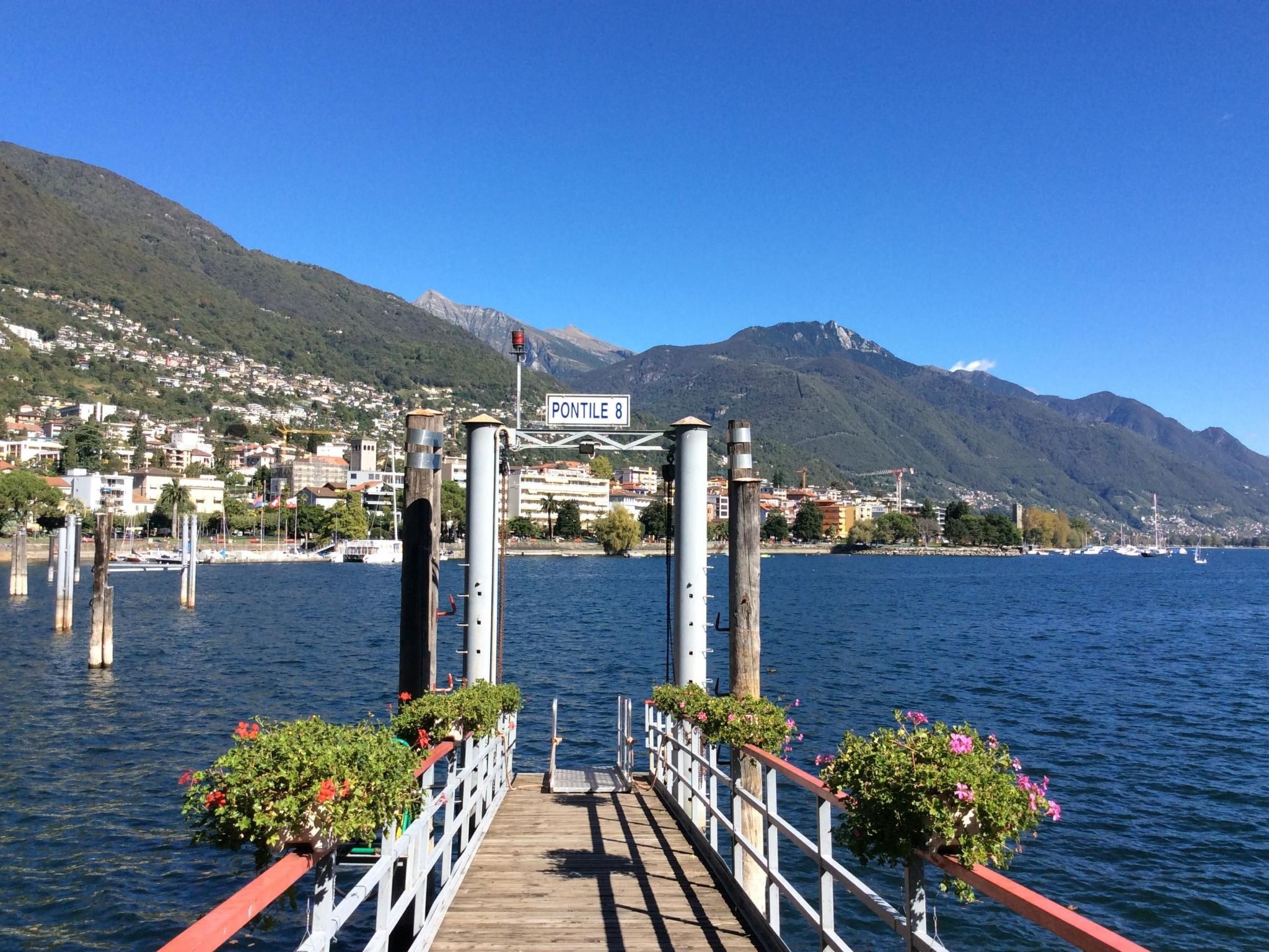 Photo of Sogno Verde