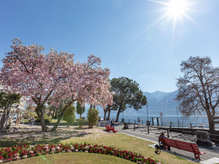 Photo of Honey Moon Ascona