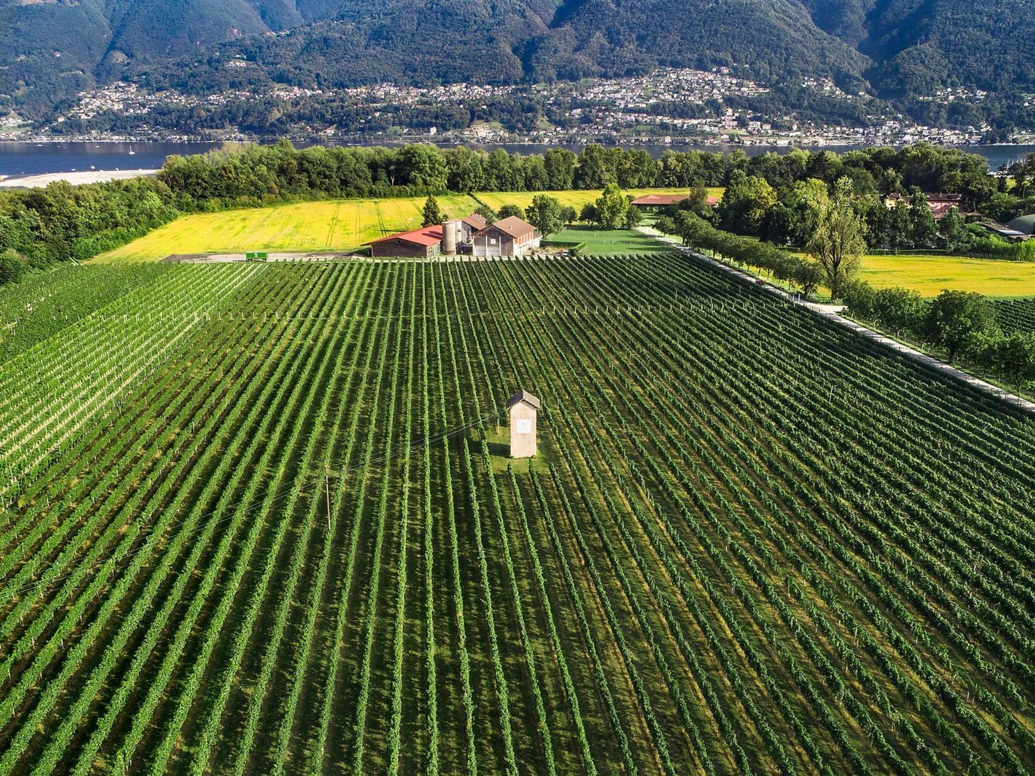 Photo of La Quercia