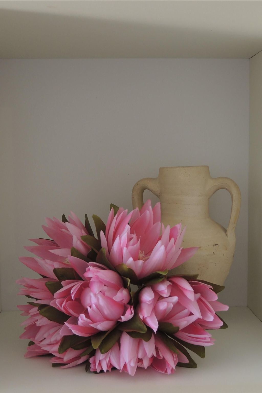 Photo of Fiore Rosa