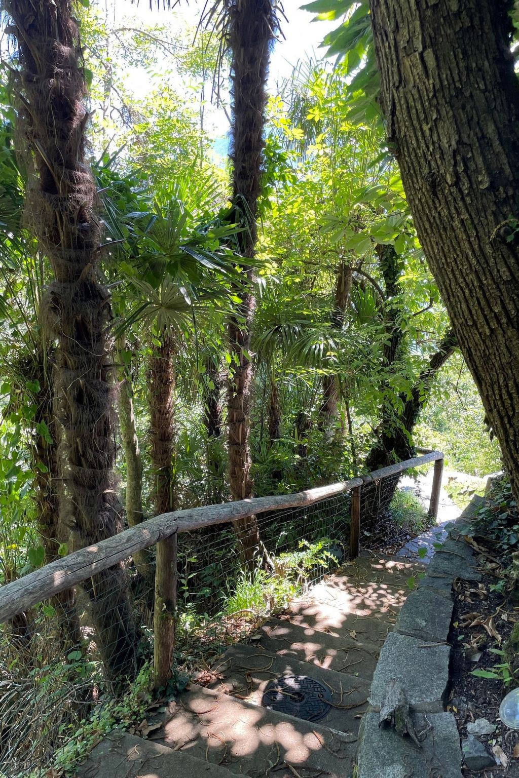Photo of Casa Pipistrello